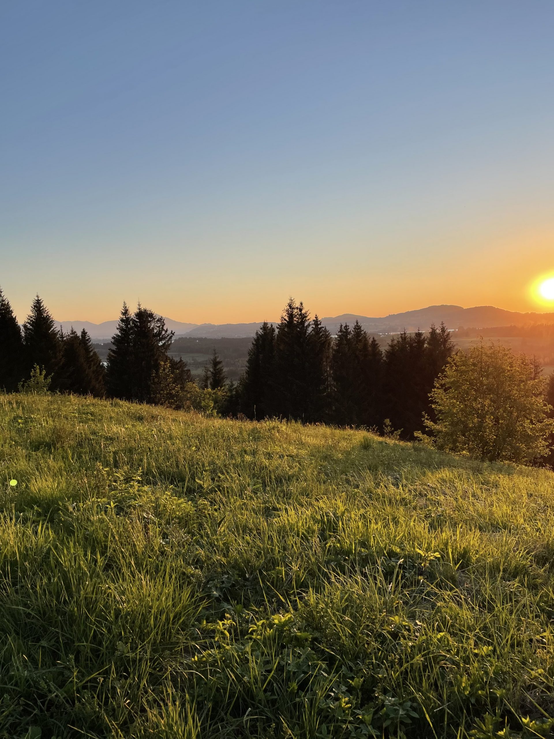 Abendsonne